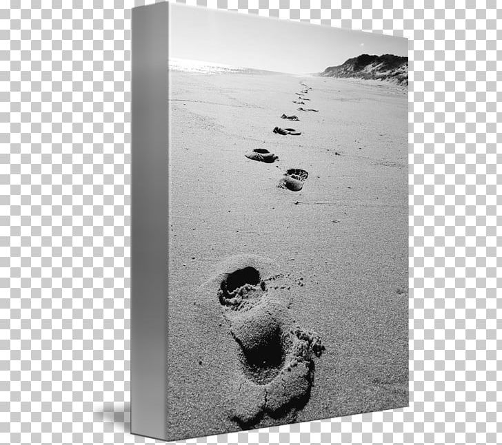 White PNG, Clipart, Beach, Beach Footprints, Black And White, Footprint, Footprints Free PNG Download