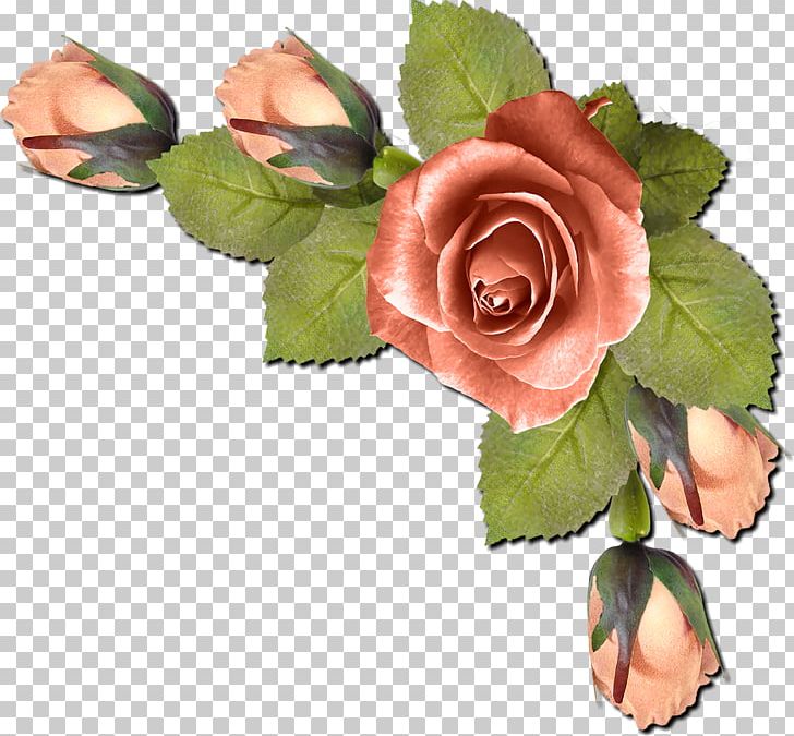 Frames PNG, Clipart, Cut Flowers, Floral Design, Flower, Flower Arranging, Flower Bouquet Free PNG Download