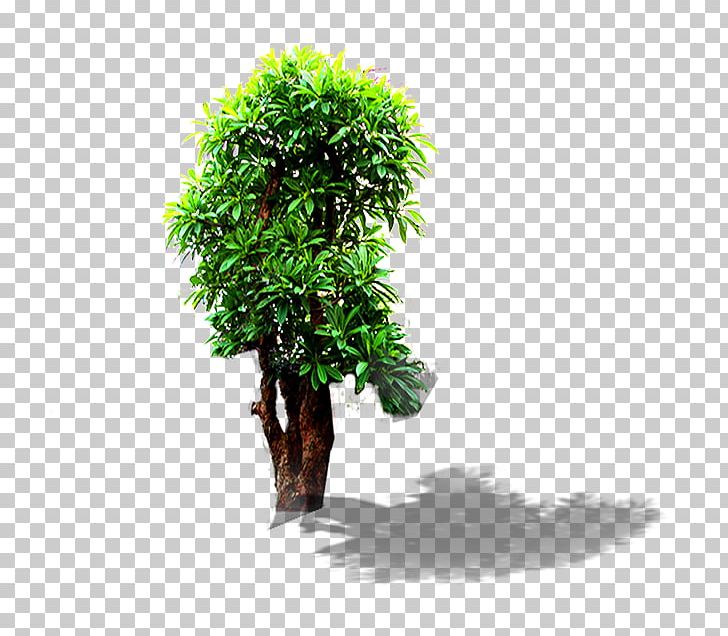 Landscape PNG, Clipart, Adobe Illustrator, Autumn Tree, Building, Building Material, Christmas Tree Free PNG Download