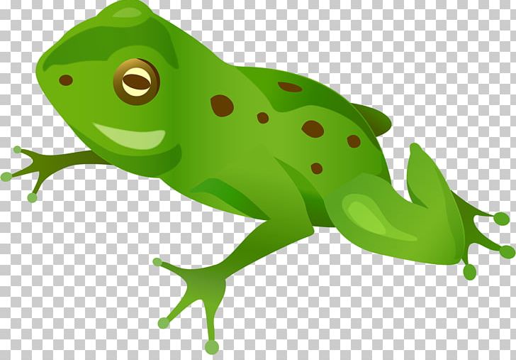 Portable Network Graphics Frog Desktop PNG, Clipart, Amphibian, Desktop Wallpaper, Digital Image, Download, Fauna Free PNG Download