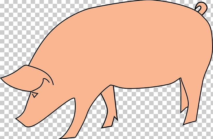 Domestic Pig PNG, Clipart, Animal Figure, Animals, Animation, Blog, Domestic Pig Free PNG Download