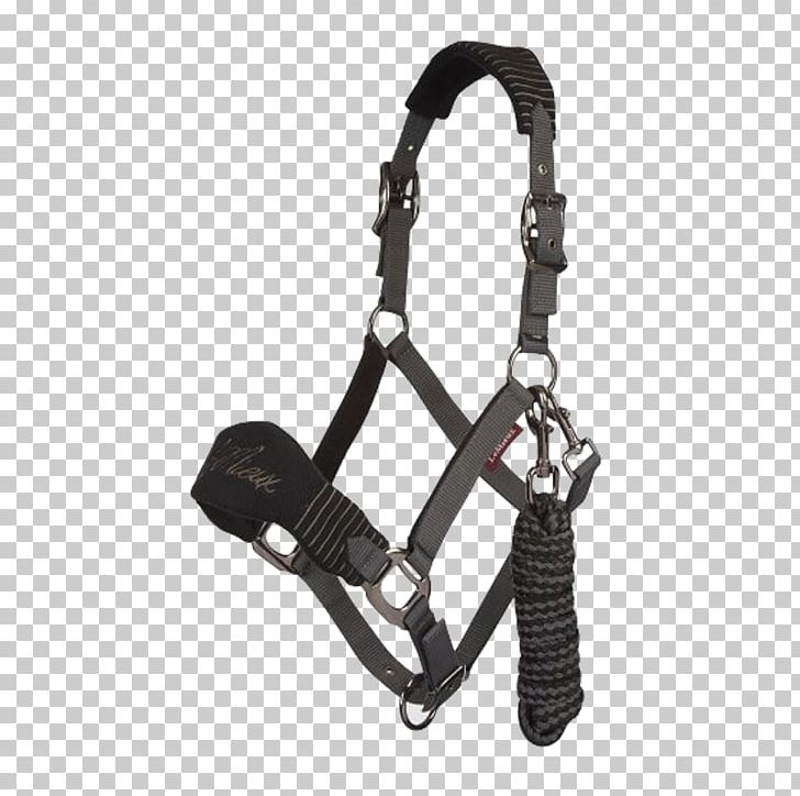 Horse Halter Lead Rope Equestrian PNG, Clipart, Animals, Black, Climbing Harness, Equestrian, Halter Free PNG Download