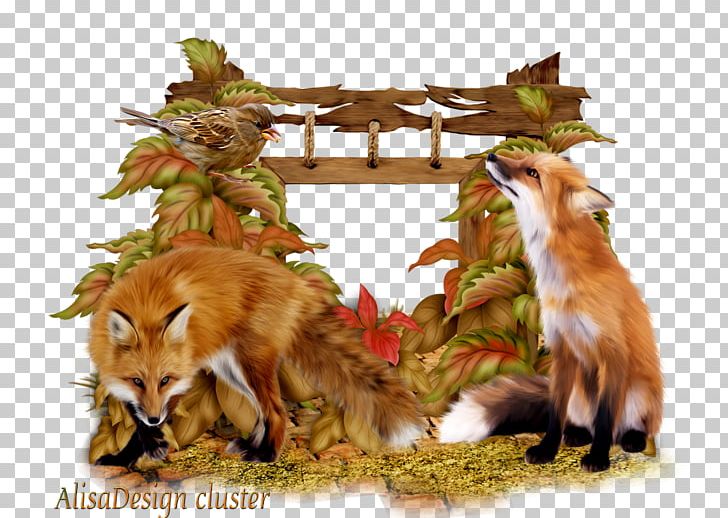 Kurt Zacharias Autumn PNG, Clipart, Autumn, Carnivoran, Dhole, Dog Like Mammal, Fauna Free PNG Download