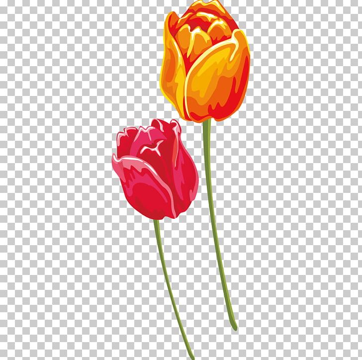 Tulip Red Yellow Euclidean PNG, Clipart, Computer Wallpaper, Cut Flowers, Download, Encapsulated Postscript, Flower Free PNG Download