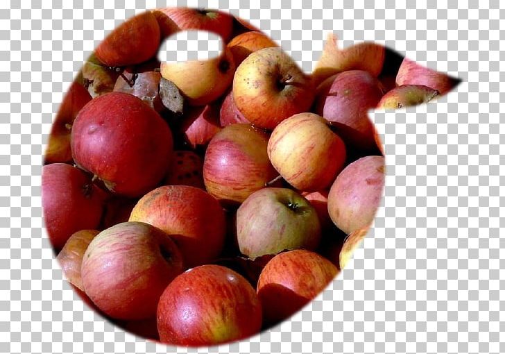 Apple Juice Apple Juice Fruit Food PNG, Clipart, Apple, Apple Juice, Auglis, Camu Camu, Cranberry Free PNG Download