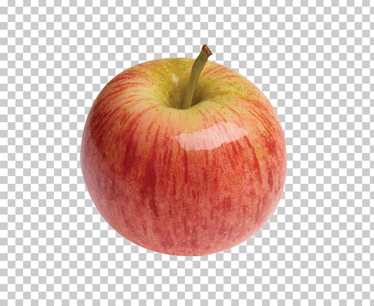 Apple Pie Fruit Gala PNG, Clipart, Apple, Apple Fruit, Apple Logo, Apple Pie, Apple Tree Free PNG Download