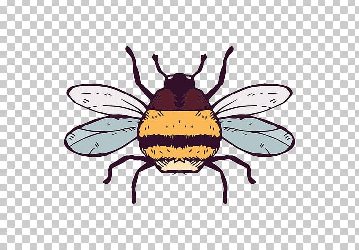 European Dark Bee Insect Honey Bee PNG, Clipart, Arthropod, Bee, Bombus Pensylvanicus, Bumblebee, Carpenter Bee Free PNG Download