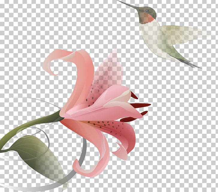 Hummingbird Lilium Flower PNG, Clipart, Adobe Illustrator, Beak, Bird, Coreldraw, Download Free PNG Download