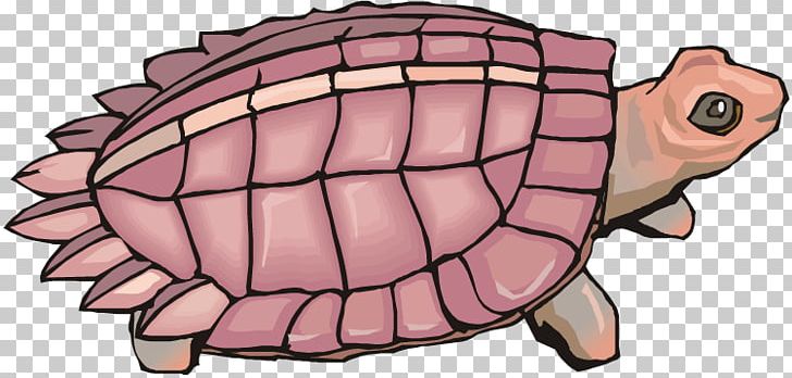 Tortoise Sea Turtle PNG, Clipart, Adult, Animal, Ausmalbild, Cartoon, Color Free PNG Download