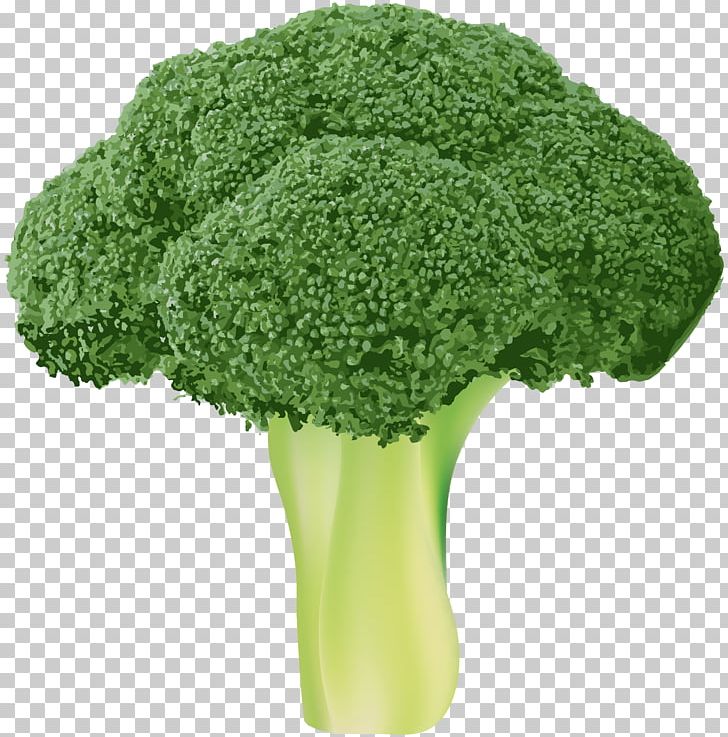 Broccoli Vegetable PNG, Clipart, Bitmap, Broccoli, Cabbage, Clipart, Clip Art Free PNG Download