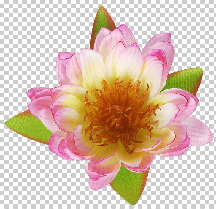 Dahlia Flower Bouquet PNG, Clipart, Abstract, Abstract Flowers, Abstract Lines, Background Elements, Daisy Family Free PNG Download