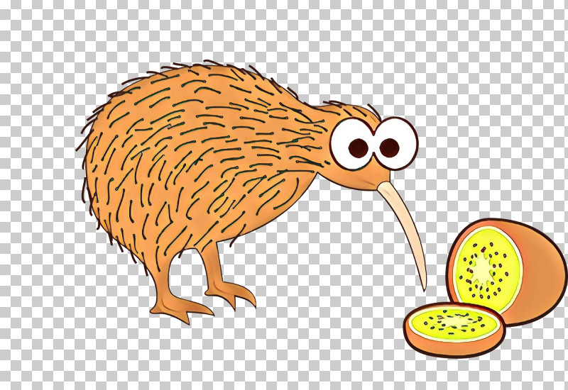 Kiwi PNG, Clipart, Bird, Cartoon, Domesticated Hedgehog, Erinaceidae, Flightless Bird Free PNG Download