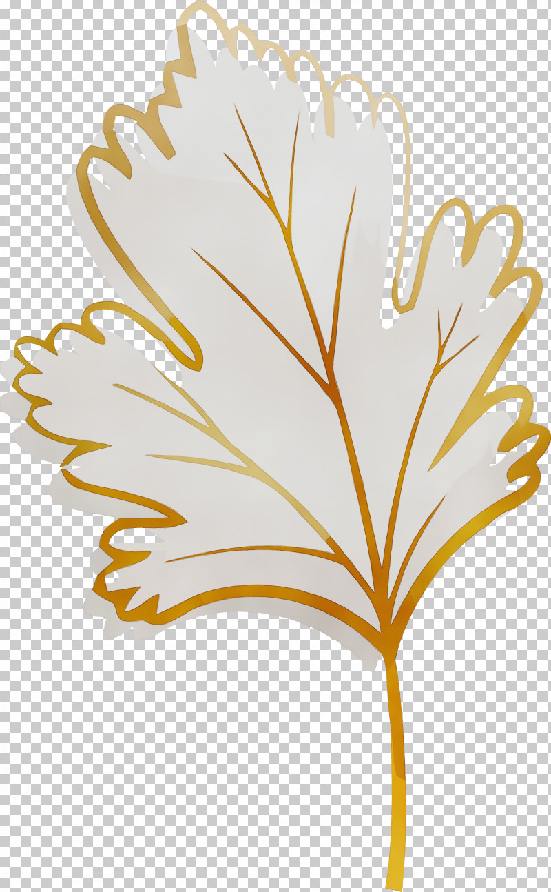 Leaf Yellow Plant Flower Pedicel PNG, Clipart, Autumn Leaf, Flower, Leaf, Paint, Pedicel Free PNG Download