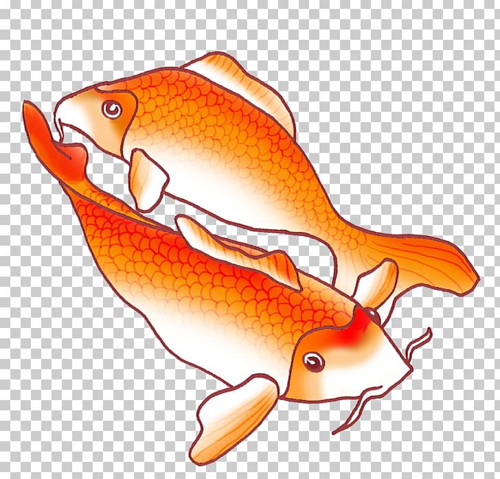 Koi Fish Drawing PNG, Clipart, Animal, Animals, Art, Bony Fish, Color Free PNG Download
