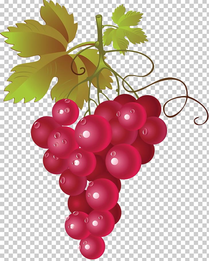 Red Wine Common Grape Vine PNG, Clipart, Berry, Clip Art, Common Grape Vine, Currant, Flowering Plant Free PNG Download