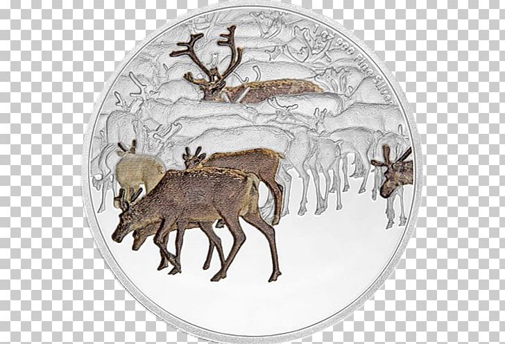 Reindeer Silver Coin Gold PNG, Clipart, Animal Migration, Antler, Caribou, Cartoon, Coin Free PNG Download