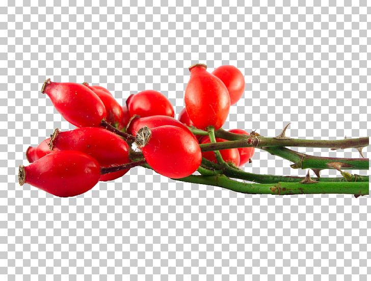 Rose Hip Seed Oil Natural Skin Care Essential Oil PNG, Clipart, Cayenne Pepper, Chili Pepper, Essential Oil, Face, Food Free PNG Download