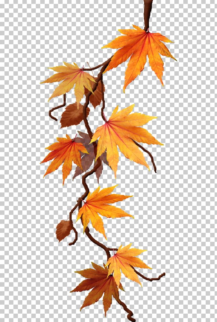 Autumn Maple Leaf Portable Network Graphics PNG, Clipart, Autumn, Branch, Deciduous, Desktop Wallpaper, Digital Image Free PNG Download
