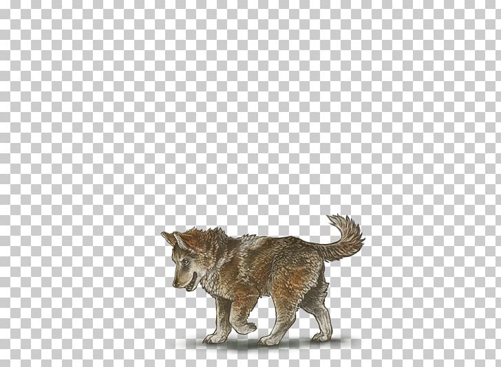 Cat Dog Fur Canidae Tail PNG, Clipart, Arabian Horse, Canidae, Carnivoran, Cat, Dog Free PNG Download