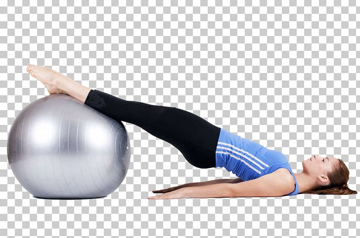 Exercise Ball Physical Exercise Core Stability Yoga PNG, Clipart, Abdomen, Arm, Ball, Balls, Chest Free PNG Download