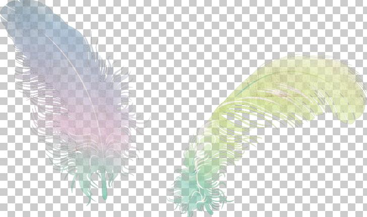 Feather Desktop Animaatio PNG, Clipart, Animaatio, Color, Data, Desktop Wallpaper, Download Free PNG Download