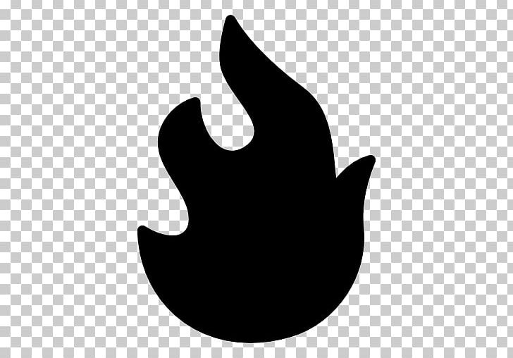 Flame Computer Icons Fire PNG, Clipart, Black, Black And White, Blue Flame, Color, Computer Icons Free PNG Download