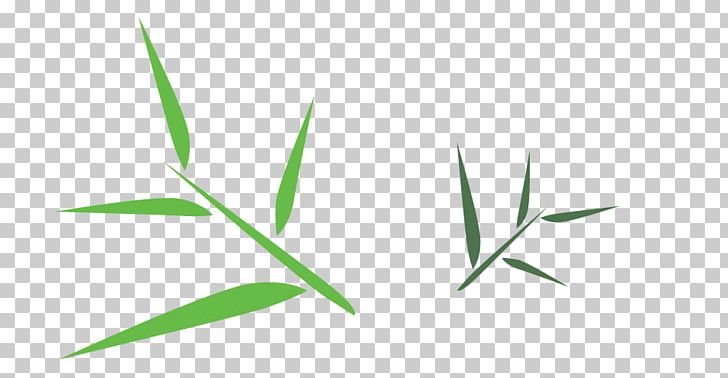 Green Leaf Angle Font PNG, Clipart, Angle, Bamboo, Grass, Grass Family, Green Free PNG Download