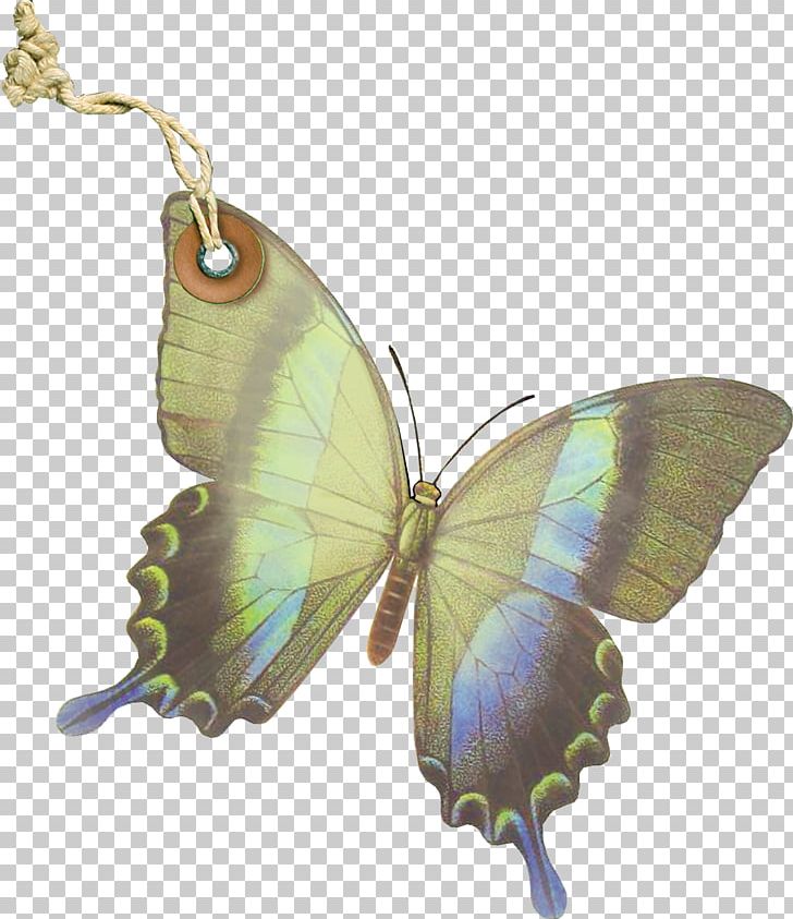 Nymphalidae Butterfly Pieridae Moth PNG, Clipart, Arthropod, Brush Footed Butterfly, Butterflies And Moths, Butterfly, Computer Icons Free PNG Download