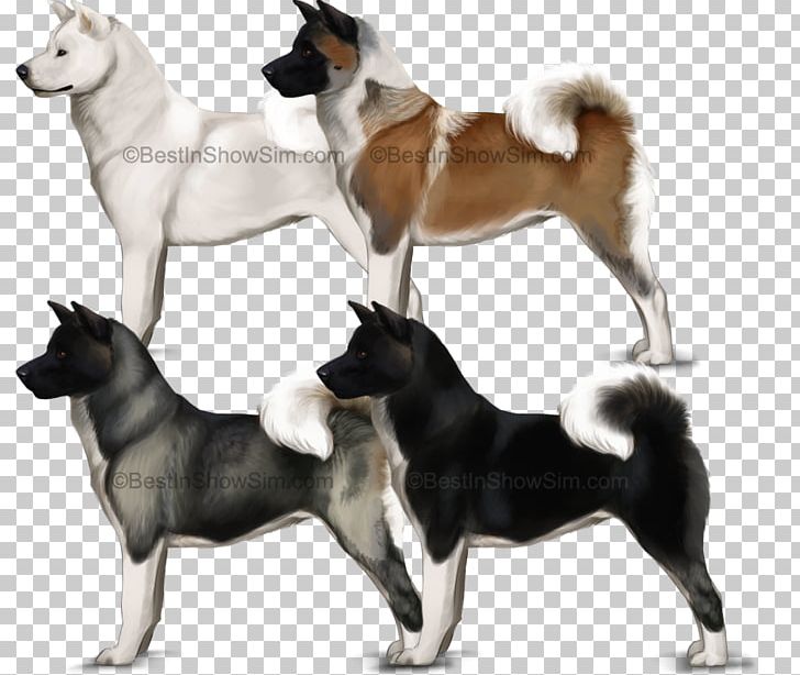 Akita Seppala Siberian Sleddog East Siberian Laika West Siberian Laika Shikoku PNG, Clipart, Akita, Carnivoran, Dog Breed, Dog Breed Group, Dog Like Mammal Free PNG Download