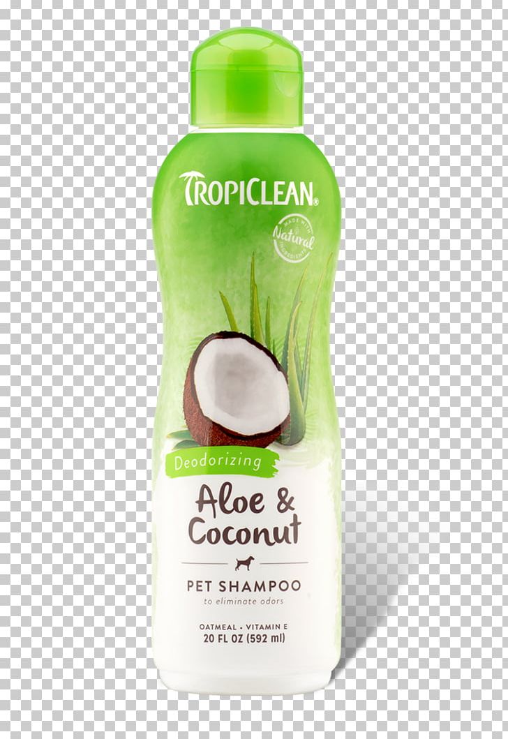 Puppy Cat Kitten Dog Shampoo PNG, Clipart, Bathing, Bitter Ginger, Cat, Coat, Dog Free PNG Download