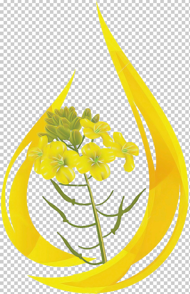Yellow Flower Plant Cut Flowers Ylang-ylang PNG, Clipart, Cut Flowers, Flower, Herbaceous Plant, Plant, Yellow Free PNG Download