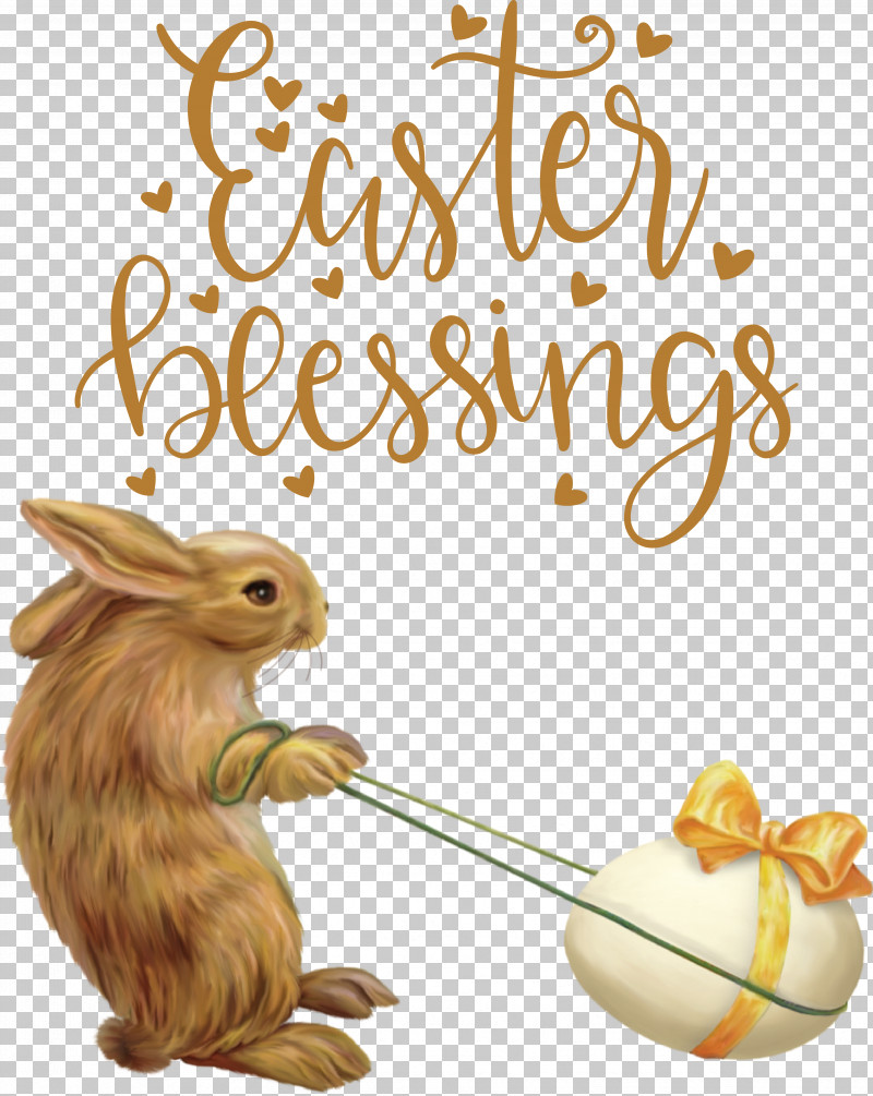 Hares Sticker Text Rabbit Tail PNG, Clipart, Meter, Rabbit, Sticker, Tail, Text Free PNG Download
