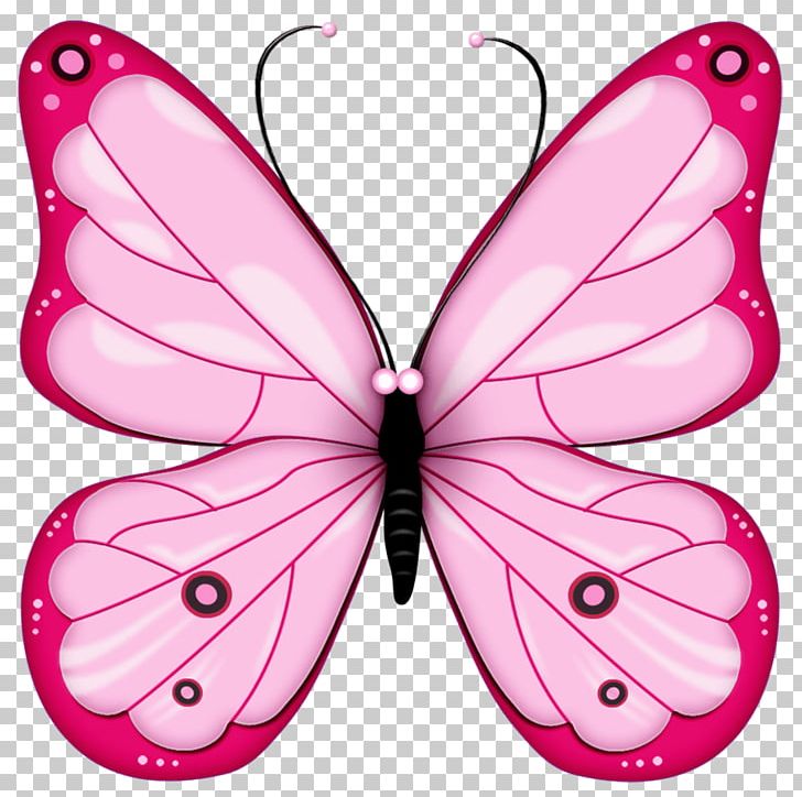Butterfly PNG, Clipart, Arthropod, Beautiful, Brush Footed Butterfly, Bugs, Color Free PNG Download