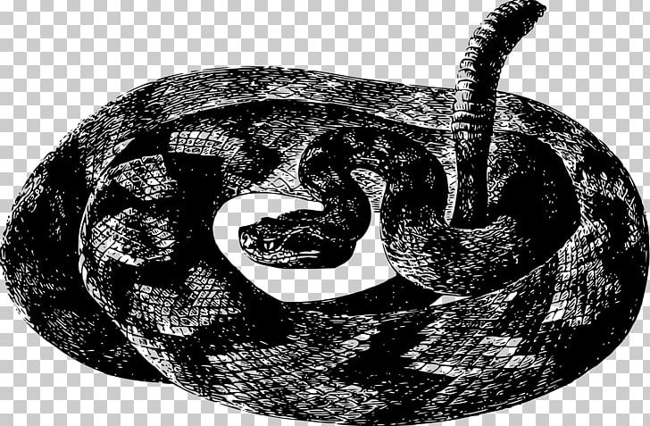 Timber Rattlesnake Vipers Crotalus Durissus PNG, Clipart, Animal, Animals, Black And White, Boa Constrictor, Boas Free PNG Download