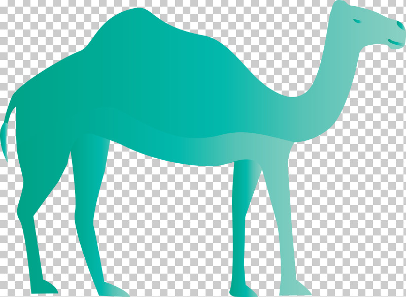 Arabic Culture PNG, Clipart, Arabic Culture, Biology, Camels, Dromedary, Green Free PNG Download