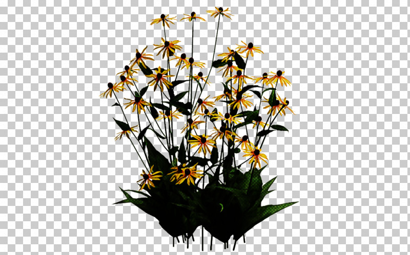 Flower Plant Cut Flowers Dendrobium Wildflower PNG, Clipart, Cut Flowers, Dendrobium, Flower, Orchid, Plant Free PNG Download