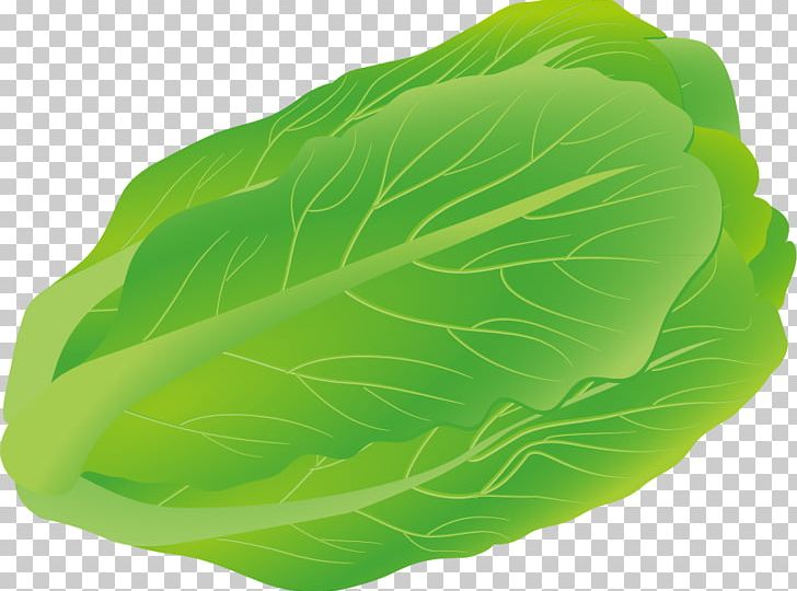 Euclidean Salad PNG, Clipart, Cabbage, Cabbage Vector, Encapsulated Postscript, Food, Happy Birthday Vector Images Free PNG Download