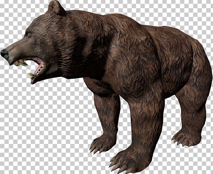 Grizzly Bear American Black Bear DayZ Asian Elephant PNG, Clipart, American Black Bear, Animals, Arma, Arma 2, Asian Black Bear Free PNG Download