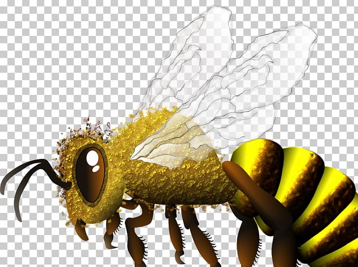 Honey Bee PNG, Clipart, Arthropod, Bee, Fly, Giant, Honey Free PNG Download