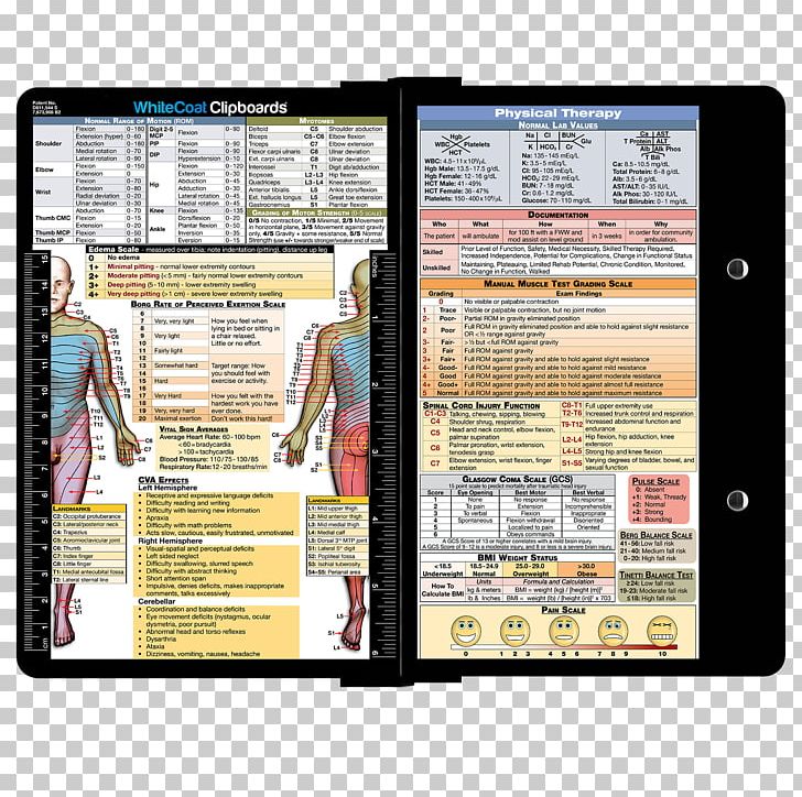 Physical Therapy Clipboard Medicine Occupational Therapy PNG, Clipart, Clipboard, Exercise, Lab Coats, Mdpocket, Media Free PNG Download