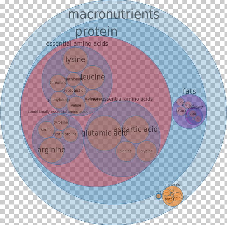 Red Grouper Nutrition Food Nutrient PNG, Clipart, Brand, Calorie, Chum Salmon, Circle, Communication Free PNG Download