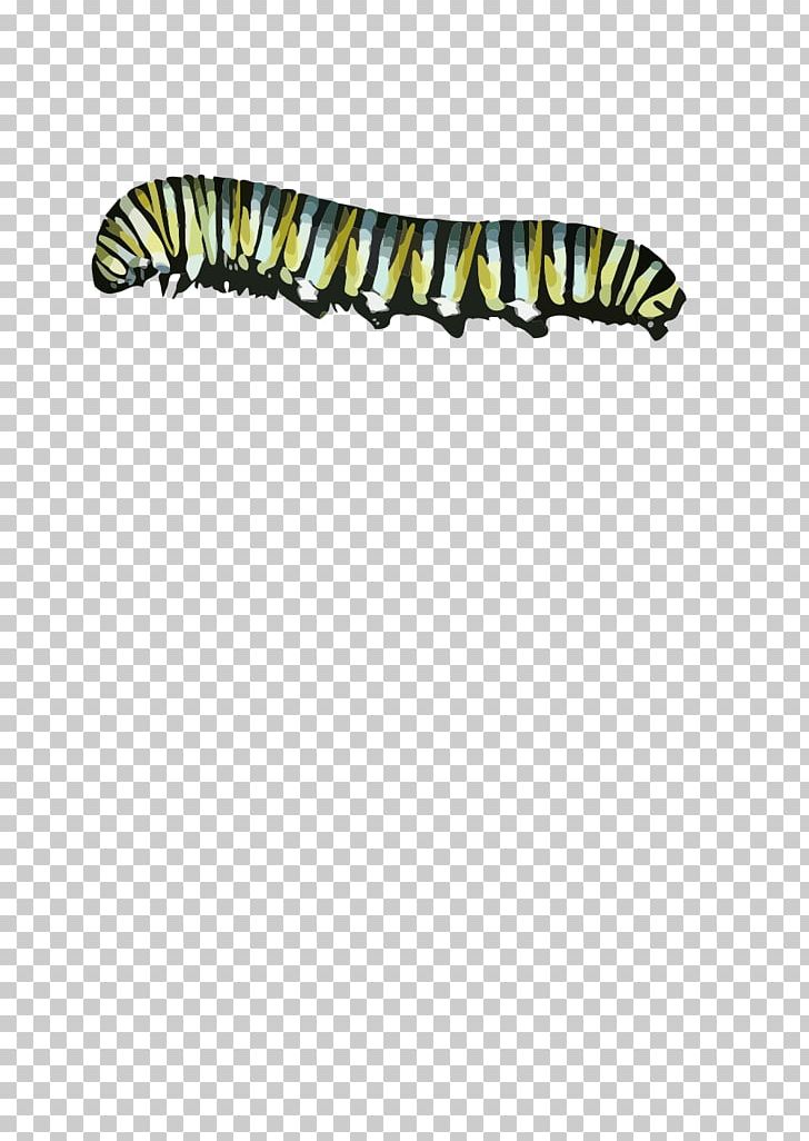 Butterfly Caterpillar PNG, Clipart, Animals, Black, Butterfly, Caterpillar, Display Resolution Free PNG Download