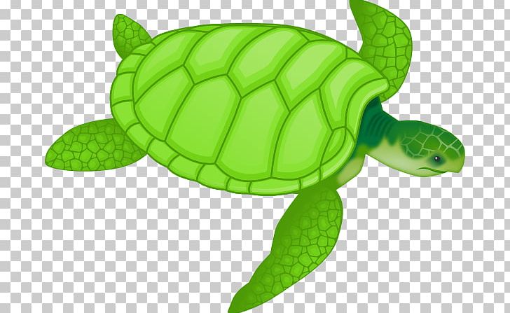 Green Sea Turtle Drawing PNG, Clipart, Animal, Animal Figure, Cartoon, Cuteness, Drawing Free PNG Download