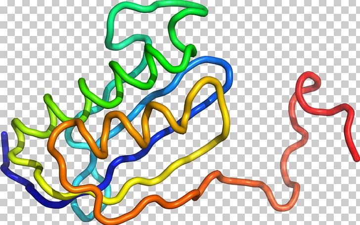 Organism Line PNG, Clipart, Area, Art, Artwork, G Alpha Subunit, Line Free PNG Download