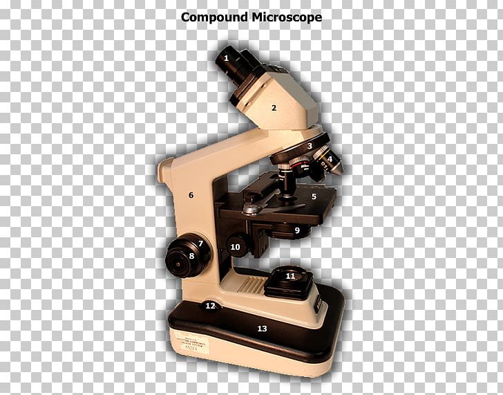 Microscope Angle PNG, Clipart, Angle, Dragoacuten Ball, Microscope, Optical Instrument, Scientific Instrument Free PNG Download