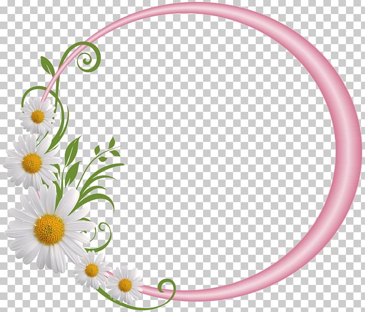 Frame PNG, Clipart, Borde, Borders And Frames, Circle, Circle Frame, Common Daisy Free PNG Download