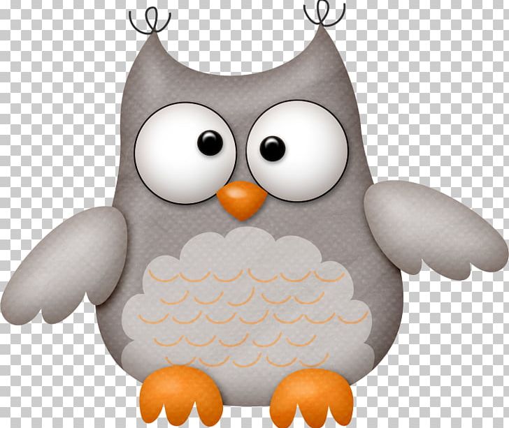 Owl PNG Clipart Animals Avatar Beak Bird Bird Of Prey Free PNG  Download