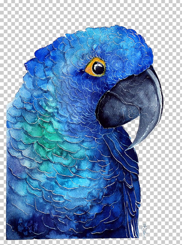 Parrot Poster Watercolor Painting PNG, Clipart, Animal, Animals, Art, Beak, Bird Free PNG Download