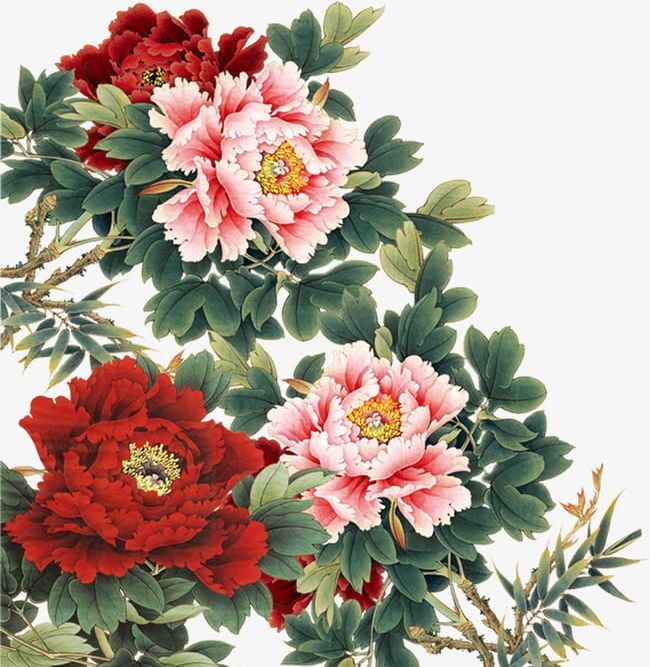 Peony PNG, Clipart, Chinese, Chinese Flower, Flower, Painting, Peony Free PNG Download