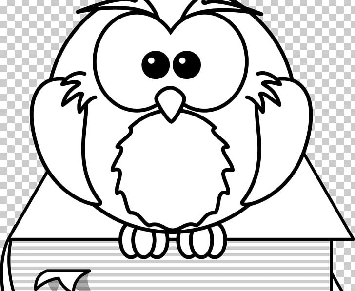 Pusheen Coloring Book Drawing Draw Birds PNG, Clipart, Bird, Black, Cartoon, Color, Eye Free PNG Download